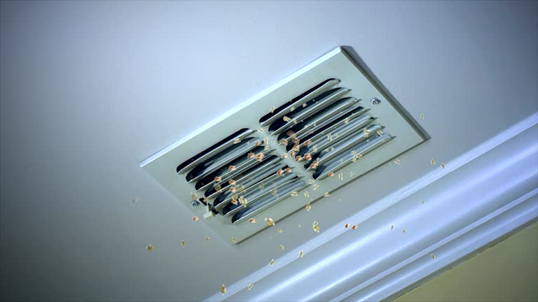 Air Duct Mold Removal in Edgar, WI