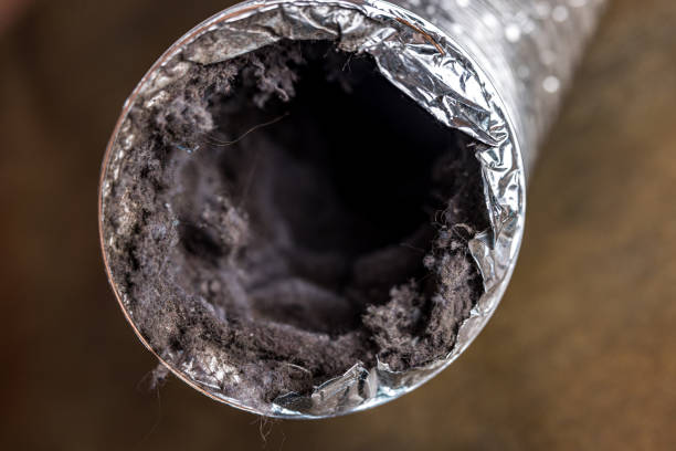 Best Emergency Air Duct Cleaning  in Edgar, WI