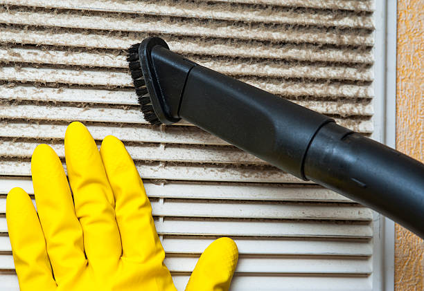 Best Local Air Duct Cleaning Services  in Edgar, WI